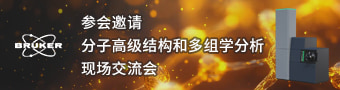布鲁克5月9