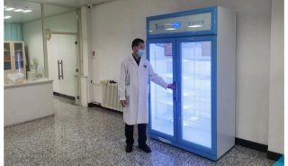 实验动物设备实验鼠笼饲养箱、常规转基因鼠饲养柜FYL-YS-281L