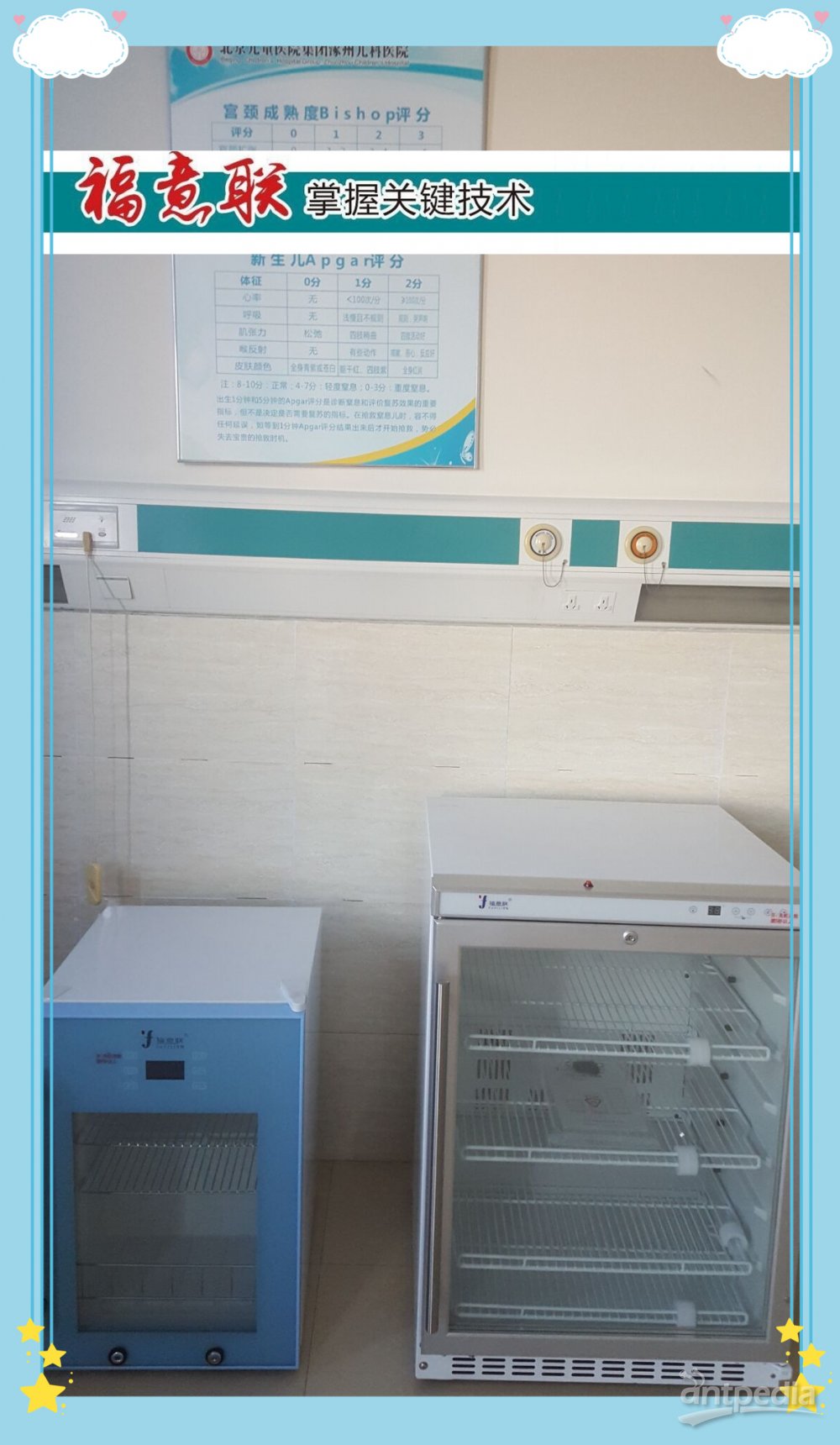 动物中心实验鼠笼饲养箱、基因老鼠(基因变异的老鼠) 恒温培养箱FYL-YS-1028L
