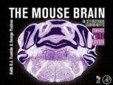 小鼠脑图谱 / The Mouse Brain