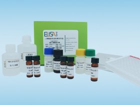 甲砜霉素检测试剂盒 5012