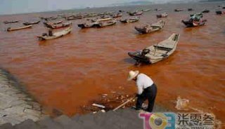 海域污染