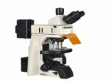 NE910荧光显微镜
