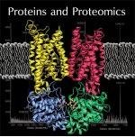 蛋白质与蛋白组学
