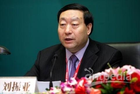国家电网公司总经理、党组书记刘振亚