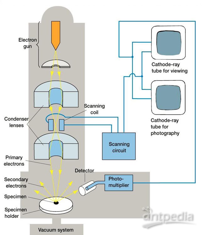 扫描电镜的发明 - COXEM2010扫描电子显微镜 - 扫描电子显微镜的博客
