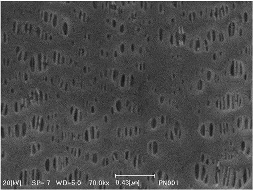 鋰電池隔膜材料（掃描電鏡SEM）
