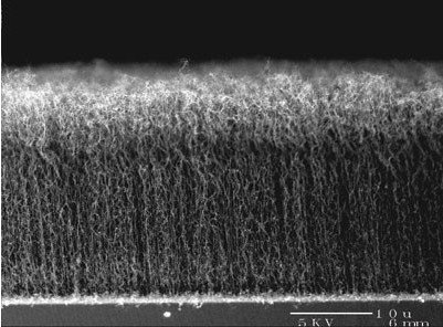 碳納米管負(fù)極材料（掃描電鏡SEM）
