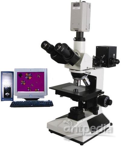 显微镜放大倍数的含义及计算方法
