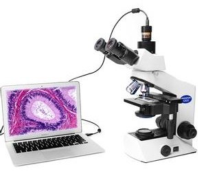 奥林巴斯生物显微镜技术参数及使用方法