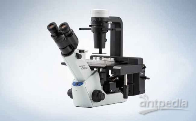 倒置显微镜奥林巴斯CKX53与尼康TS2的优点比较