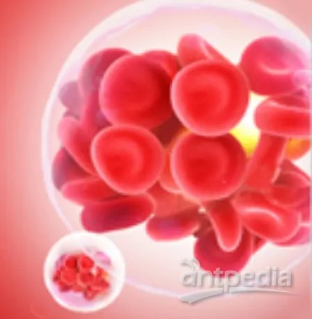 胎盘造血干细胞(图1)
