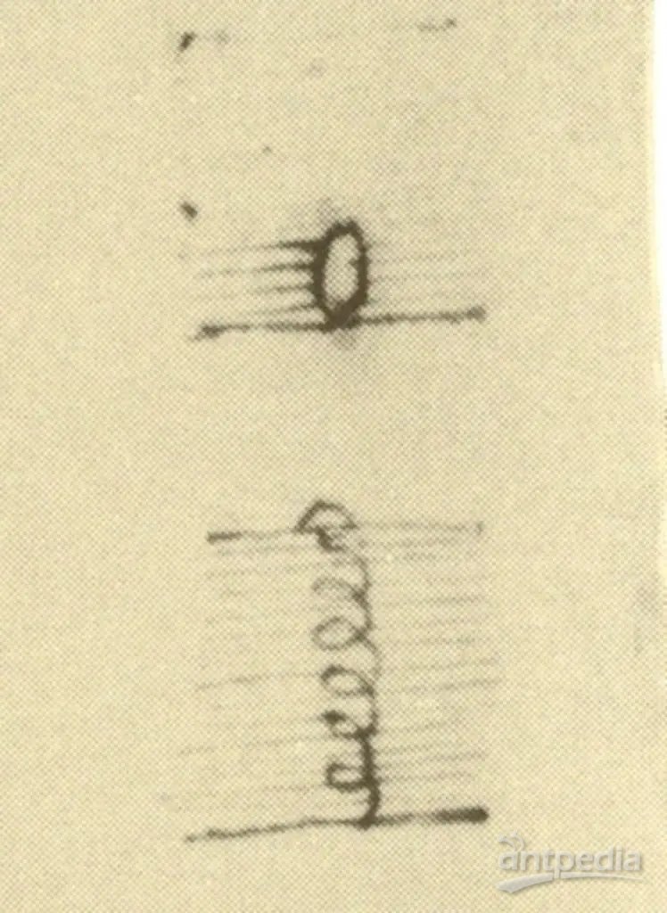 Leonardos-Sketch-Showing-the-Spiral-Motion-of-an-Ascending-Bubble-748x1024.webp.jpg