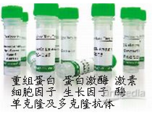 MouseAntiHumanProliferatingCellNuclearAntigen（PCNA）