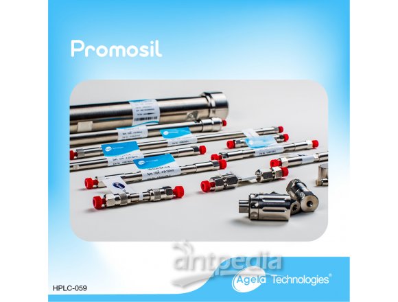 艾杰尔Promosil液相色谱柱30*250mm;5μm;100A