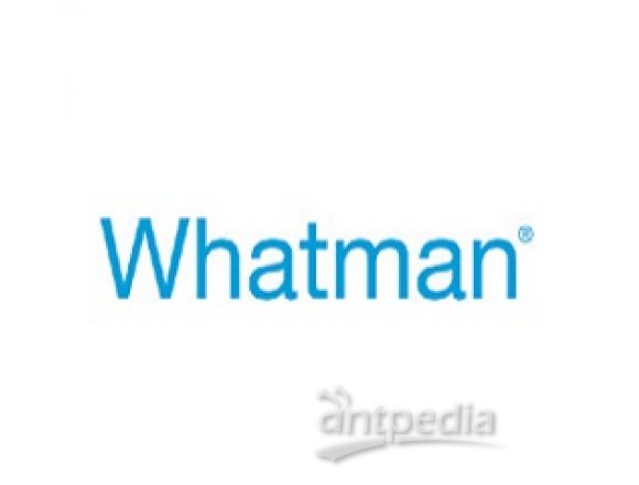 Whatman 醋酸纤维素膜（OE66）