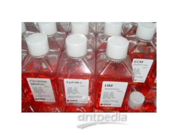 RPMI-1640培养基（不含谷氨酰胺，含酚红指示剂）
