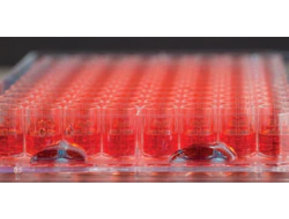 Thermo Scientific™ 267427 Nunc™ Edge™ 96-Well, Non-Treated, Flat-Bottom Microplate