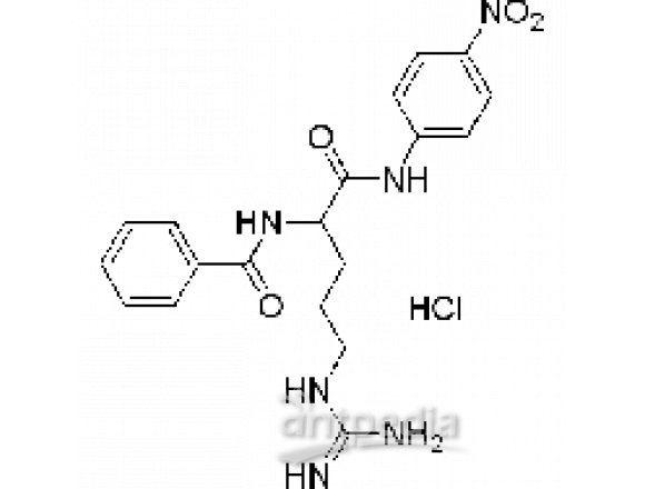 N-α-苯甲酰-DL-精氨酰-4-硝基苯胺盐酸盐