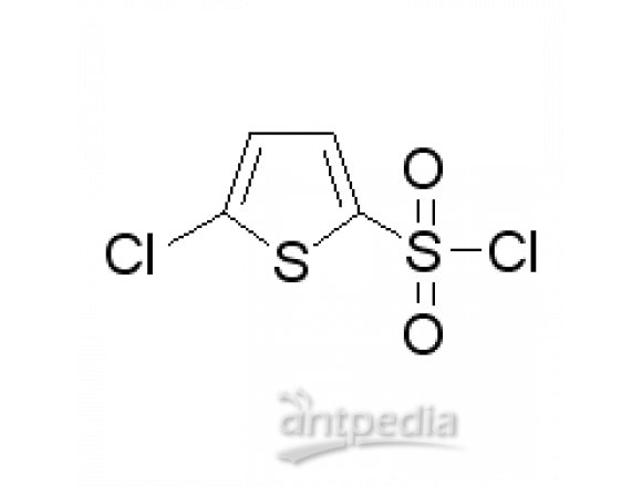 5-氯噻吩-2-磺酰氯