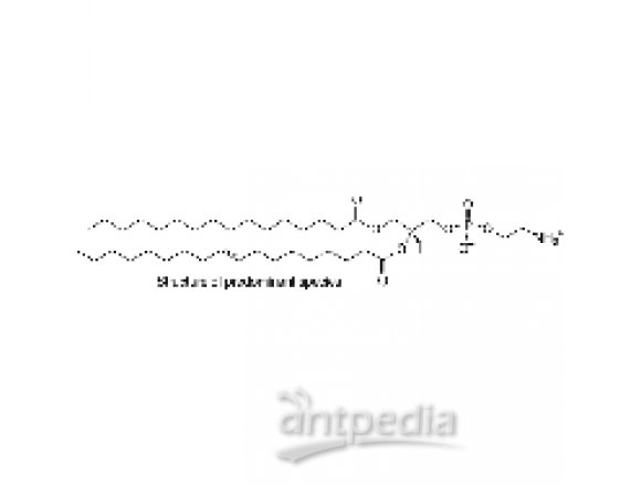 L-α-phosphatidylethanolamine (E. coli)