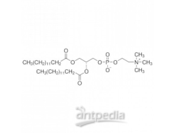 二肉豆蔻酰磷脂酰胆碱（DMPC）