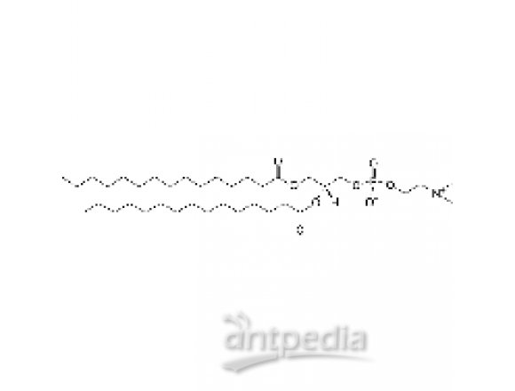 1,2-dipentadecanoyl-sn-glycero-3-phosphocholine