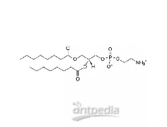 1,2-dioctanoyl-sn-glycero-3-phosphoethanolamine