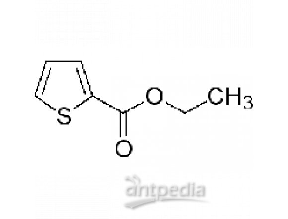 噻吩-2-羧酸乙酯