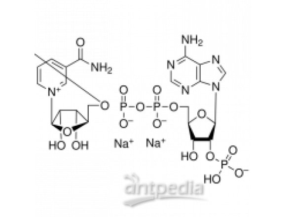 氧化型辅酶II 二钠(β-NADP-Na2)