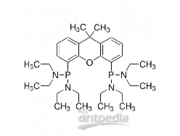 P,P′-(9,9-二甲基-9H-氧杂蒽-4,5-二基)双[N,N,N′,N′-四乙基-亚膦酸二酰胺]