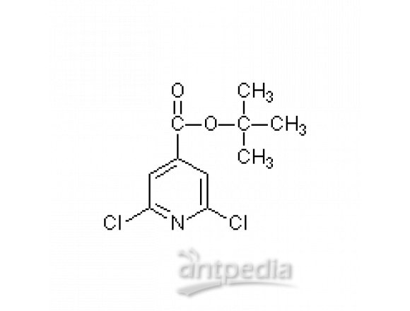 2,6-二氯异烟酸叔丁酯