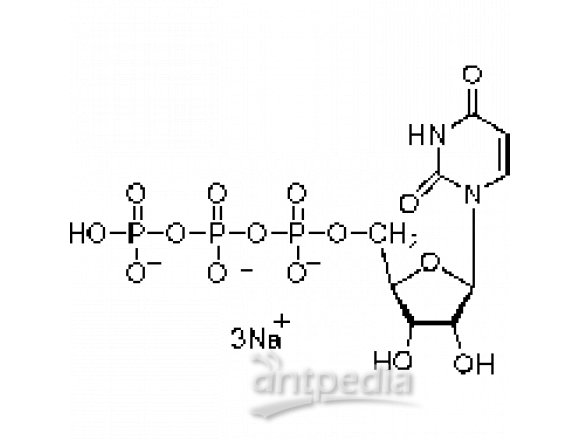 5’-三磷酸尿苷三钠(UTP)