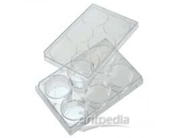 CELLTREAT Scientific Products 229147 48-Well Treated Cell Culture Plate with Lid; 50/cs