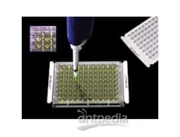 Excel Scientific AlumaSeal II™ Sealing Film for PCR and Cold Storage, Aluminum Foil, Sterile, 38µm; 100/PK