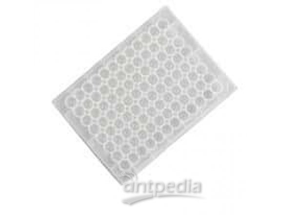 Thermo Scientific Nunc 249944 96-Well Microplates, PP, Conical, 0.45 mL, nonsterile