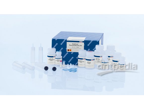 QIAGEN EndoFree Plasmid Maxi Kit