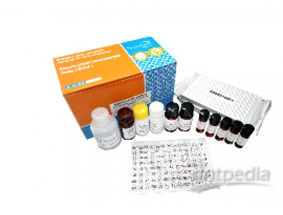 HEM0196美正黄曲霉毒素总量ELISA检测试剂盒