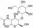 N818239-100mg N -乙酰- D- 乳糖胺,98%