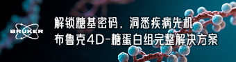 布鲁克8月1