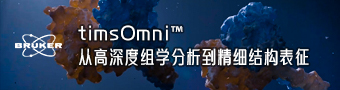 布鲁克9月.1