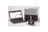 SPEX  Eco48 荧光定量PCR系统 用于基因表达水平分析