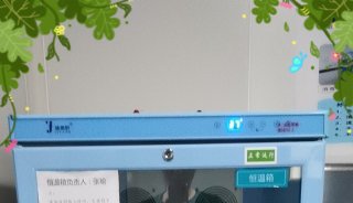 中医药提升工程福意联保冷柜 FYL-YS-828L