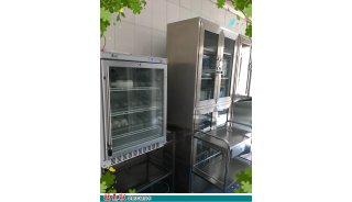 血清制备冰柜FYL-YS-281L