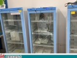 动物房设备小鼠实验饲养箱、基因鼠繁殖饲养笼箱柜FYL-YS-230L