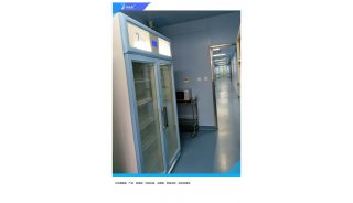 肝结核病冰箱(-20°)FYL-YS-50L