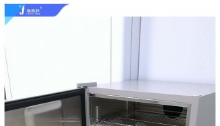 蛋白质纯化实验室冰箱 层析柜（温度范围：2℃～10℃）FYL-YS-828LD