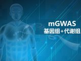 复杂疾病mGWAS技术服务