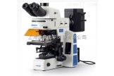 FCK-50C蔡康科研级正置荧光显微镜