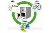 全自动核酸与蛋白质提取仪（SFDA受理）